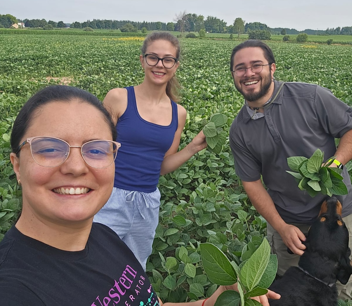 Spider Mite Meeting